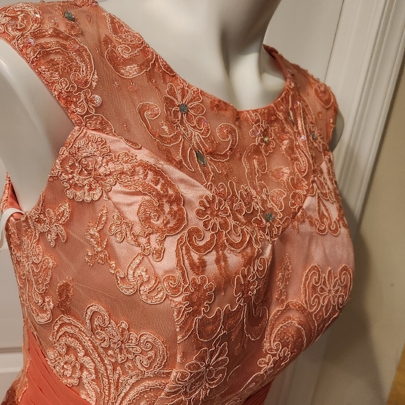 Pink new with tags wedding lace dress size 10 - Picture 6 of 10